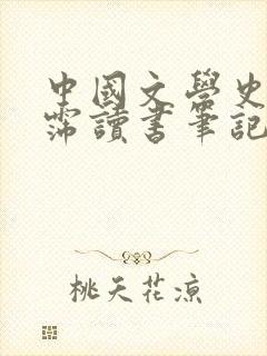 中国文学史袁行霈读书笔记