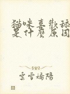 猫咪喜欢舔主人是什么原因