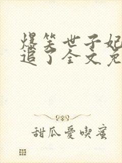 爆笑世子妃爷别追了全文免费阅读