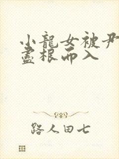 小龙女被尹志平尽根而入