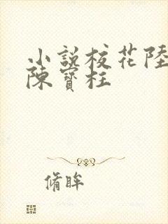 小说校花陆冰嫣陈宝柱