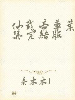 仙武帝尊叶辰全集完结版