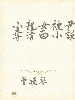 小龙女被尹志平夺清白小说封面