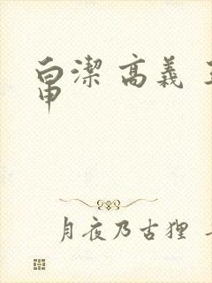 白洁 高义 王申封面