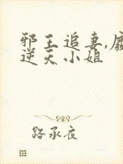 邪王追妻,废材逆天小姐