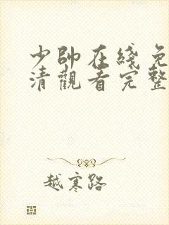 少帅在线免费高清观看完整版封面