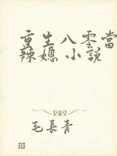 重生八零当家小辣媳 小说