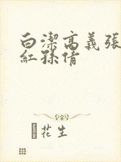 白洁高义张敏美红孙倩封面