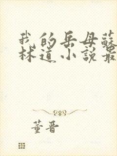 我的岳母苏沛真林道小说最新章节