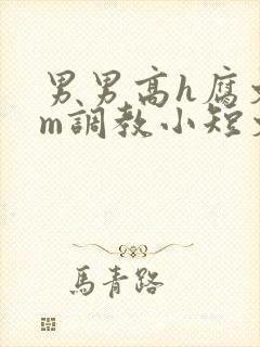 男男高h腐文sm调教小短文封面