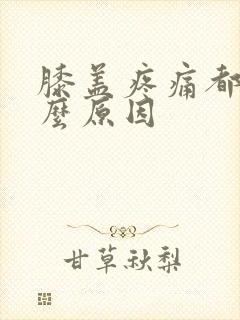 膝盖疼痛都有什么原因封面