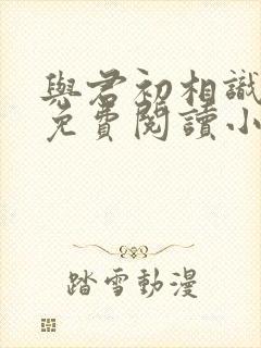 与君初相识全文免费阅读小说