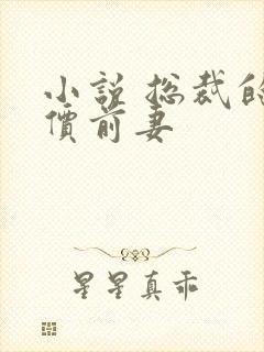 小说 总裁的天价前妻