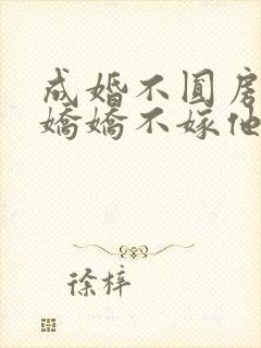 成婚不圆房重生娇娇不嫁他急封面