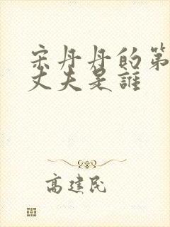 宋丹丹的第一任丈夫是谁