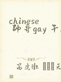 chinese 帅哥gay 午夜