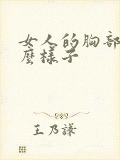 女人的胸部长什么样子