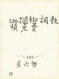 sm捆绑调教视频免费