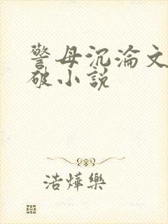 警母沉沦文高干破小说封面