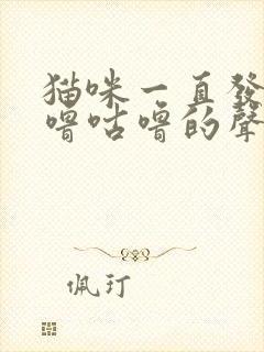 猫咪一直发出咕噜咕噜的声音封面