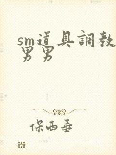 sm道具调教文男男