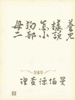 母狗怎样养熟第二部小说免费阅读封面