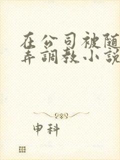 在公司被随意玩弄调教小说