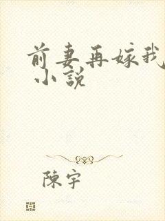 前妻再嫁我一次 小说