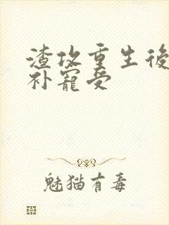 渣攻重生后悔弥补宠受