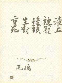 重生后被渣男的死对头宠上天短剧免费