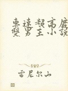 车速超高废文的双男主小说推荐短篇封面