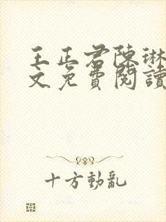 王正君陈琳洁全文免费阅读最新章节封面