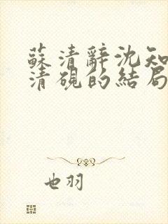 苏清辞沈知夏林清砚的结局是什么