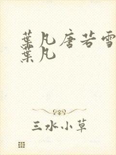 叶凡唐若雪医婿叶凡