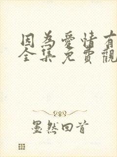 因为爱情有多美全集免费观看完整版封面