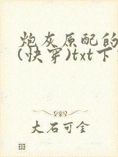 炮灰原配的人生(快穿)txt下载封面