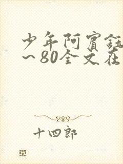 少年阿宾钰慧1～80全文在