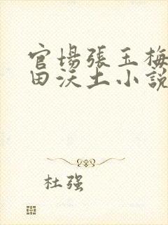 官场张玉梅的肥田沃土小说叫什么名封面