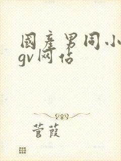 国产男同小鲜肉gv网站