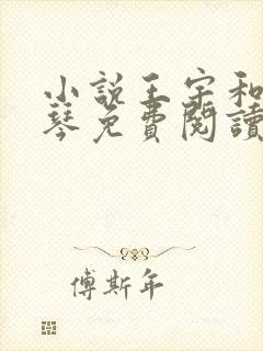 小说王宇和周美琴免费阅读