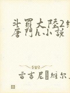 斗罗大陆2绝世唐门h小说