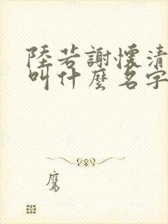 陆若谢怀清小说叫什么名字