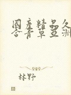 国产精品久久综合青草亚洲av