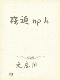 强迫 np h