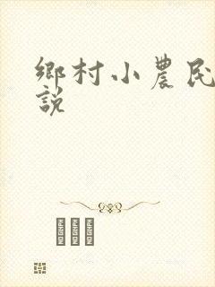 乡村小农民的小说