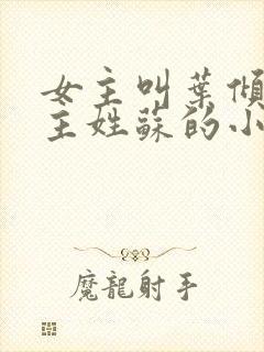 女主叫叶倾城男主姓苏的小说