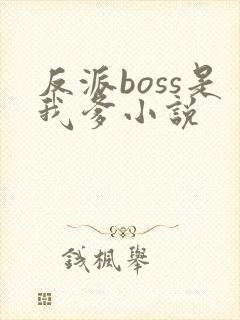 反派boss是我爹小说