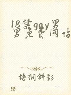 18禁gay男男免费网站