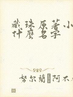 藏珠原著小说叫什么名字