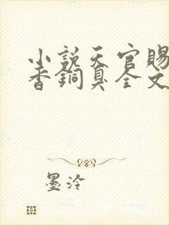 小说天官赐福墨香铜臭全文封面